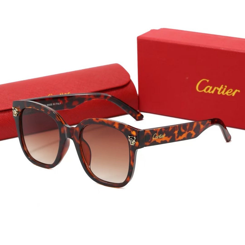 0376 Sunglasses with box