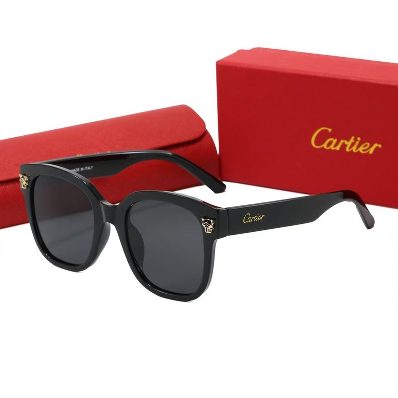 0376  Sunglasses with box