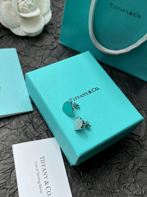 A1048   Women's titanium steel new fashion earrings