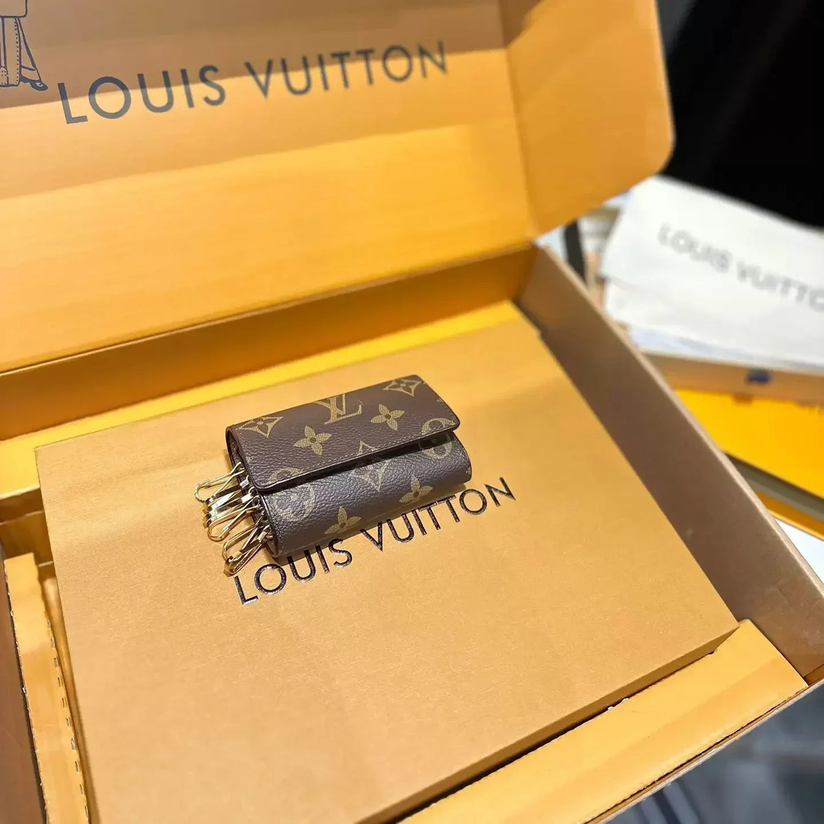Louis Vuitton Leather 6 Key Holder